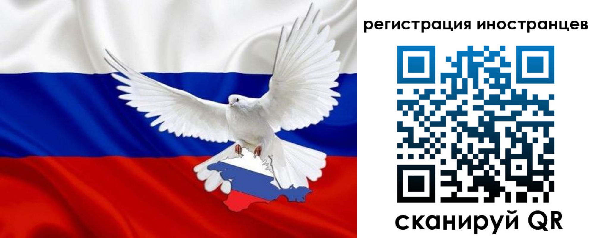 временная прописка в Александрове